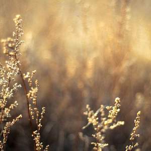 成人短篇H小说500篇淑芬
